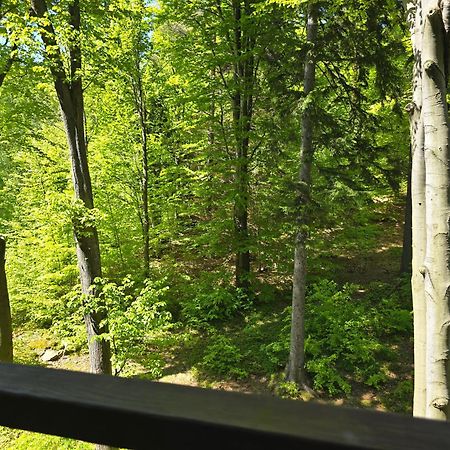 Apartament Z Pieknym Widokiem Na Las Szklarska Poręba Buitenkant foto