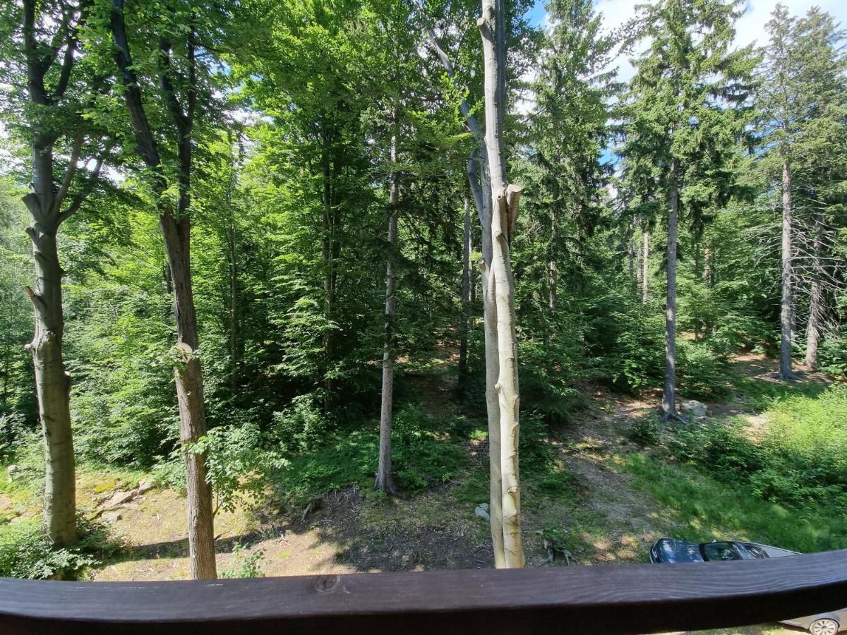 Apartament Z Pieknym Widokiem Na Las Szklarska Poręba Buitenkant foto