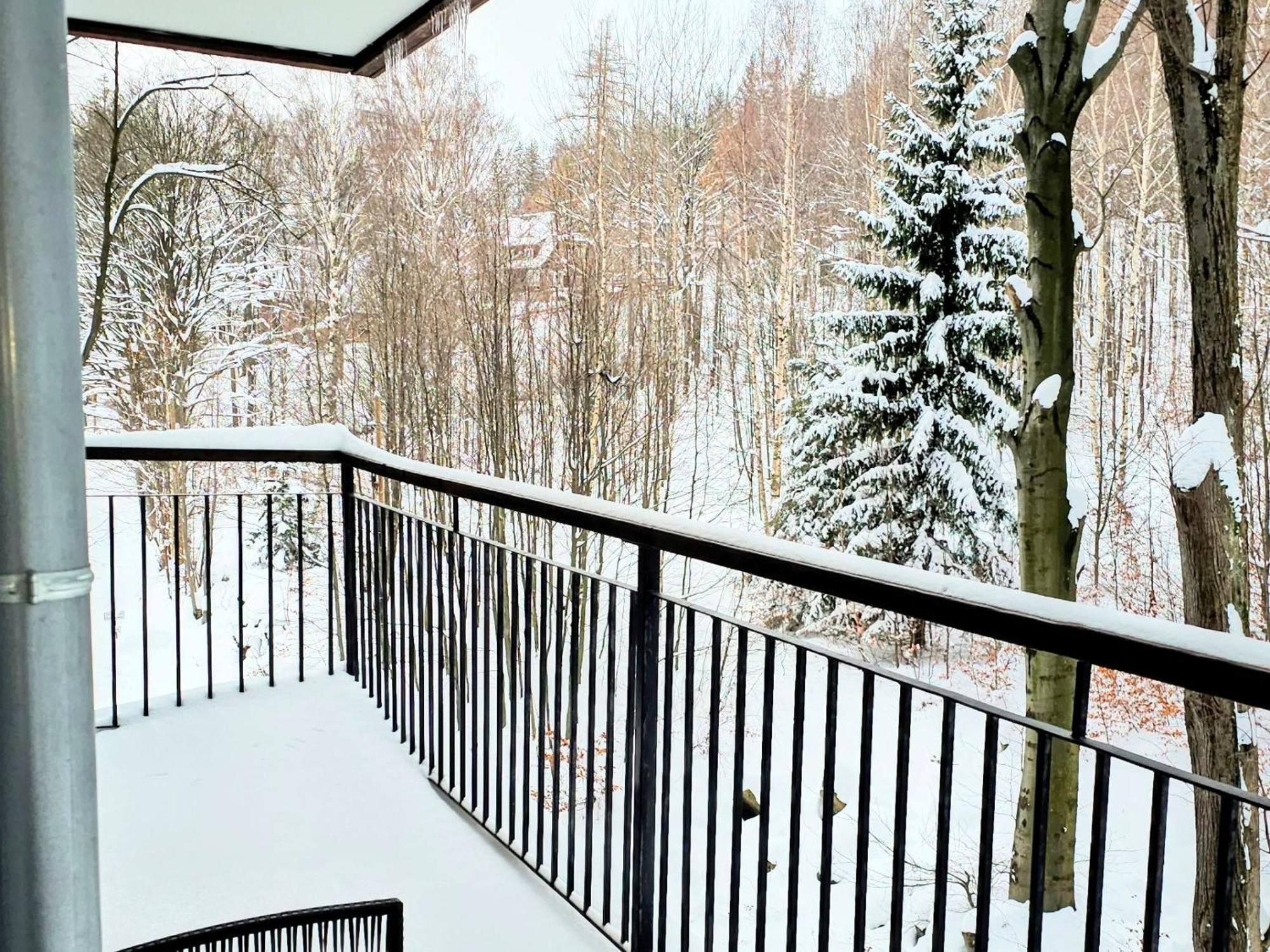Apartament Z Pieknym Widokiem Na Las Szklarska Poręba Buitenkant foto