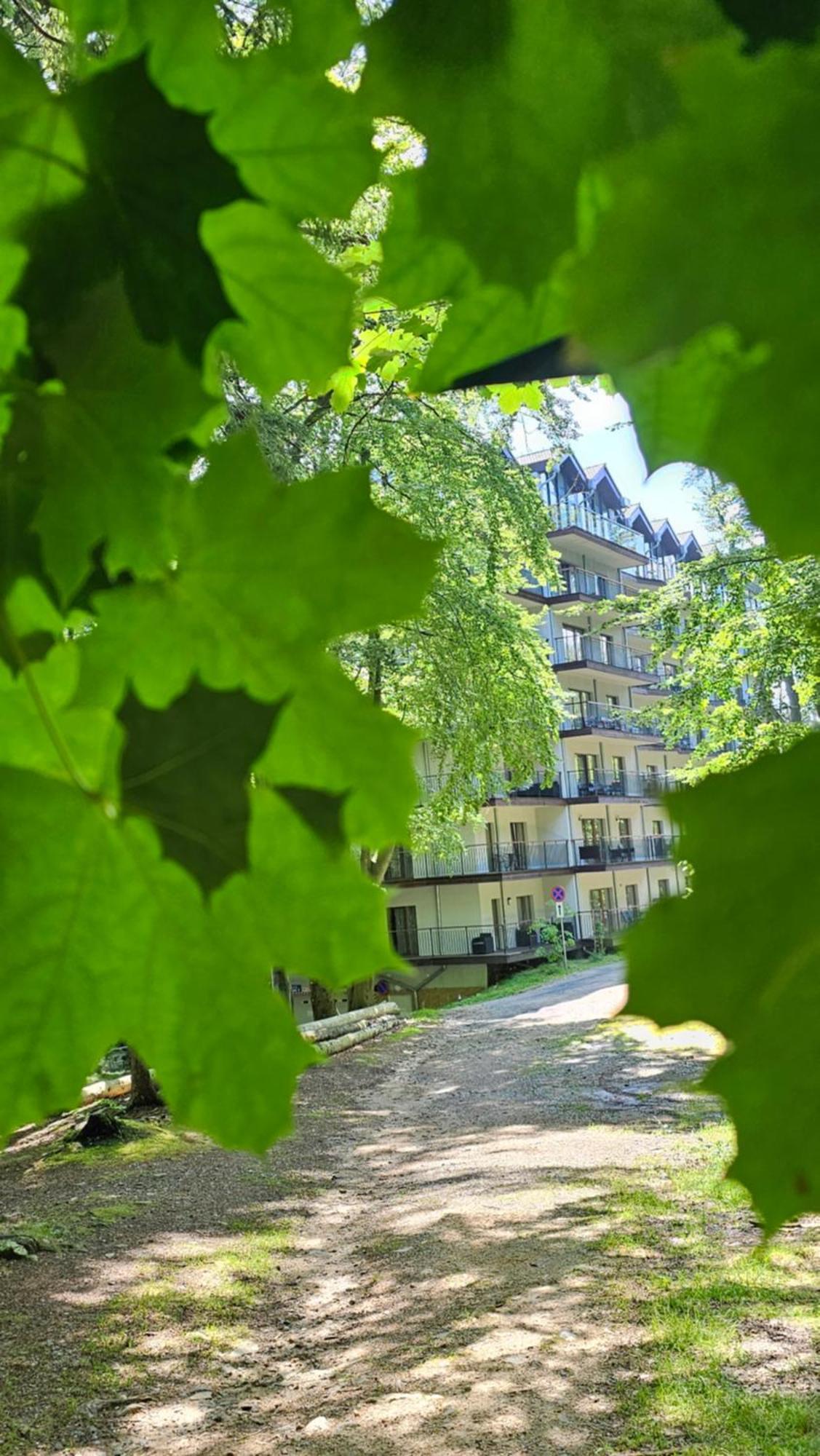 Apartament Z Pieknym Widokiem Na Las Szklarska Poręba Buitenkant foto