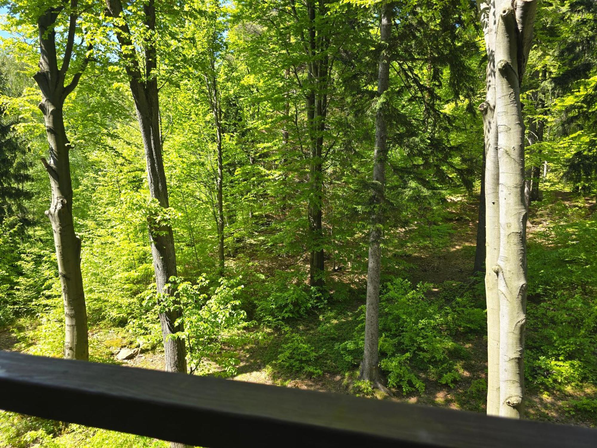 Apartament Z Pieknym Widokiem Na Las Szklarska Poręba Buitenkant foto