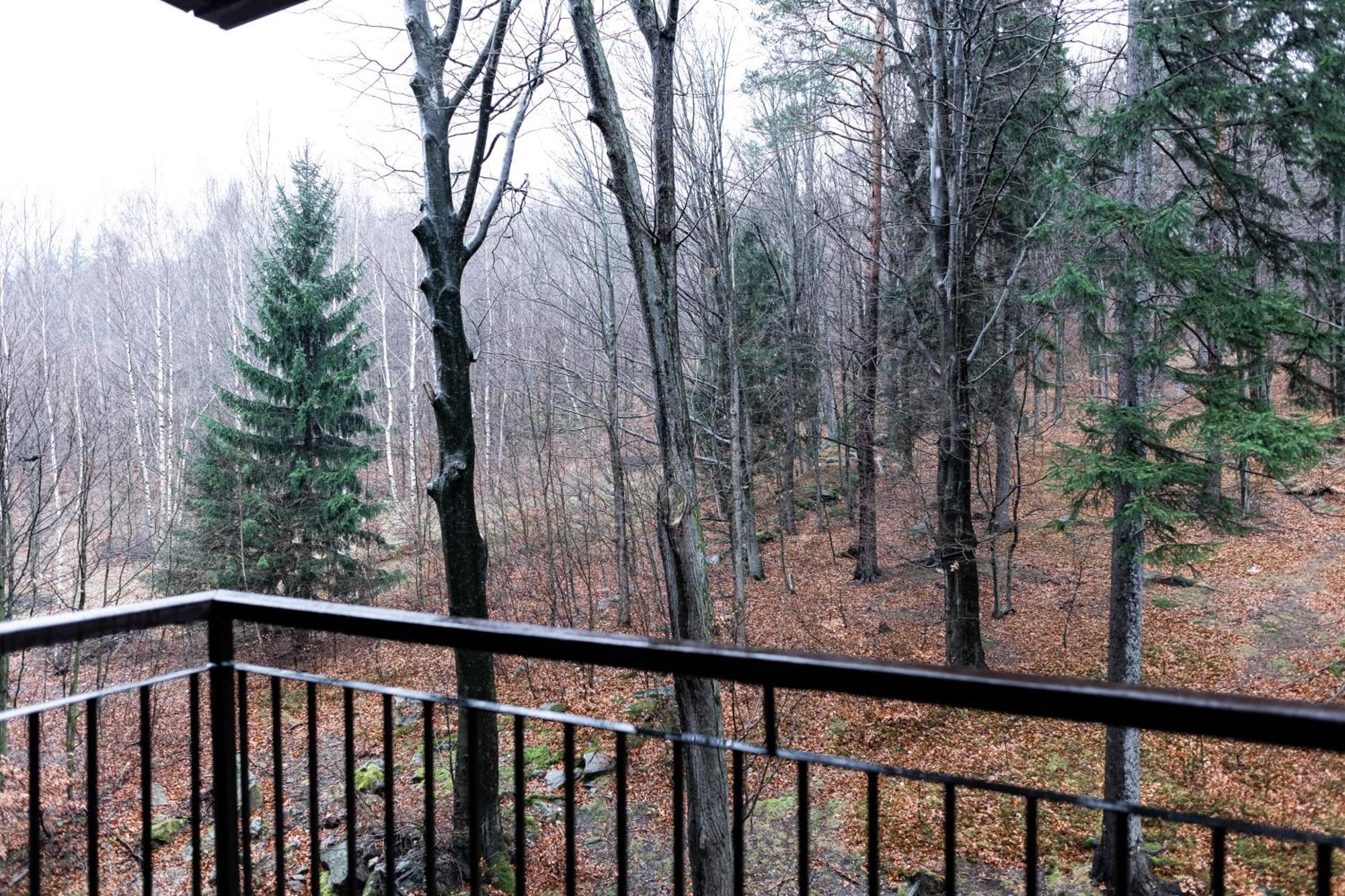 Apartament Z Pieknym Widokiem Na Las Szklarska Poręba Buitenkant foto